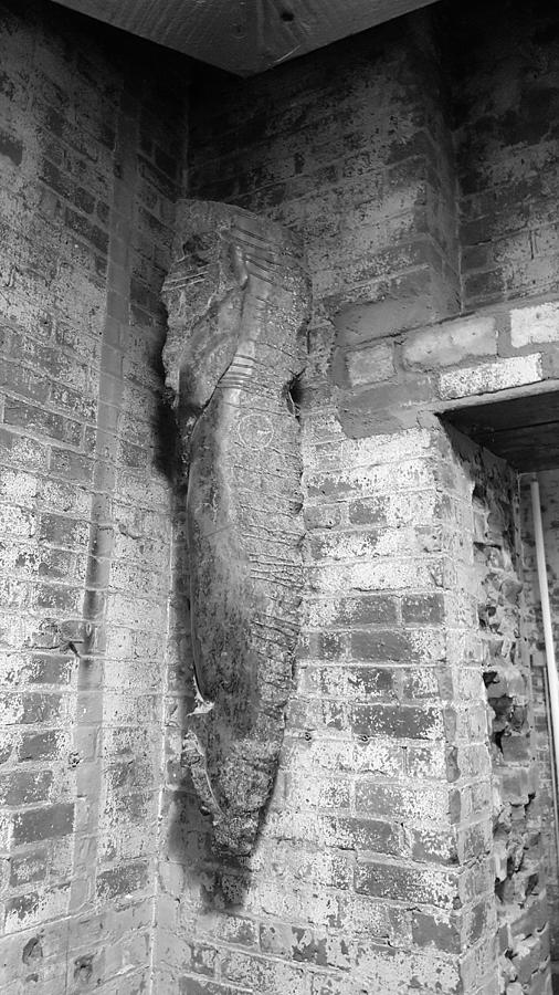 Seahorse On A Wall B W Photograph by Rob Hans