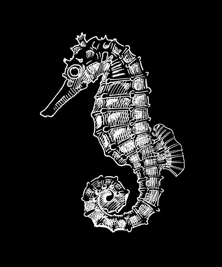 Seahorse on Black Drawing by Masha Batkova