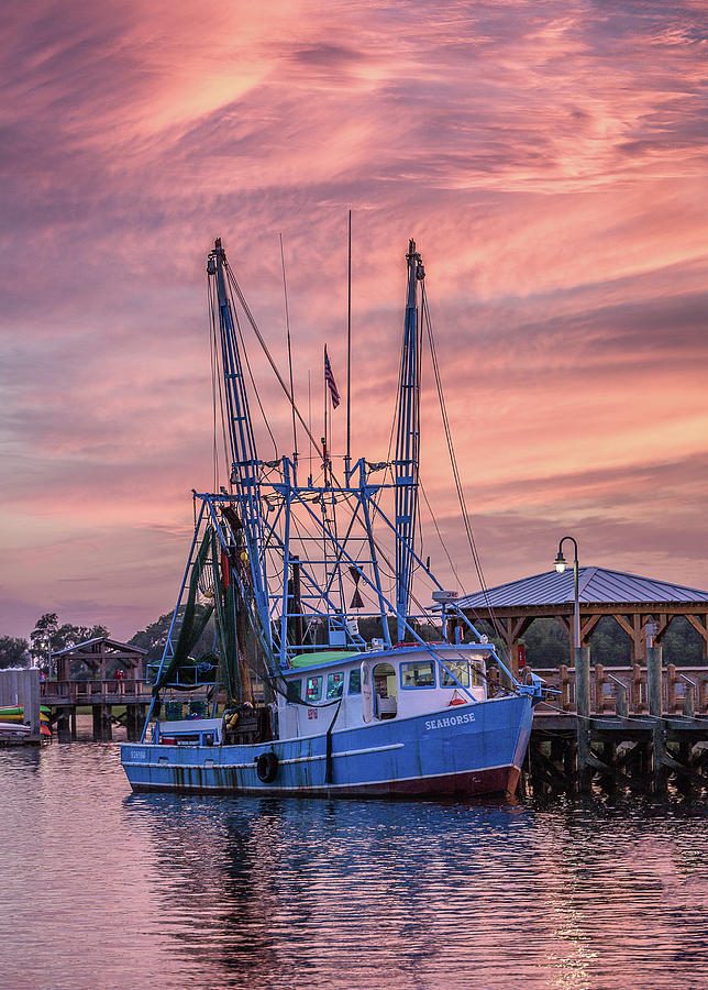 The Seahorse Shem Creek Photograph by Donnie Whitaker