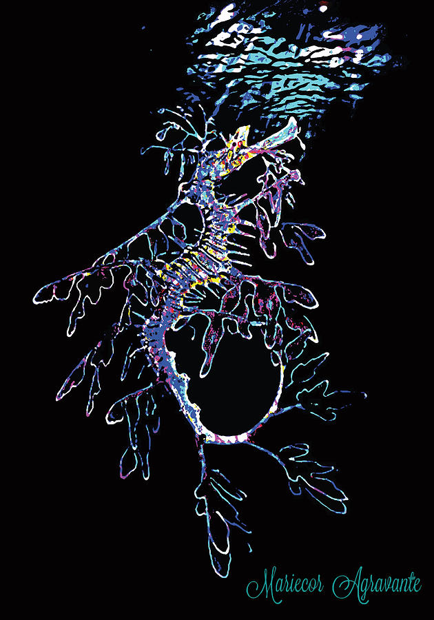 Leafy Sea Dragon Wonder Digital Art