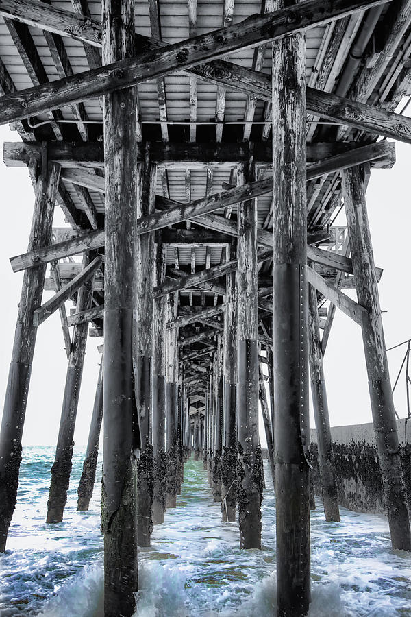 Seal Beach Pier Photograph by Rosanne Nitti - Fine Art America