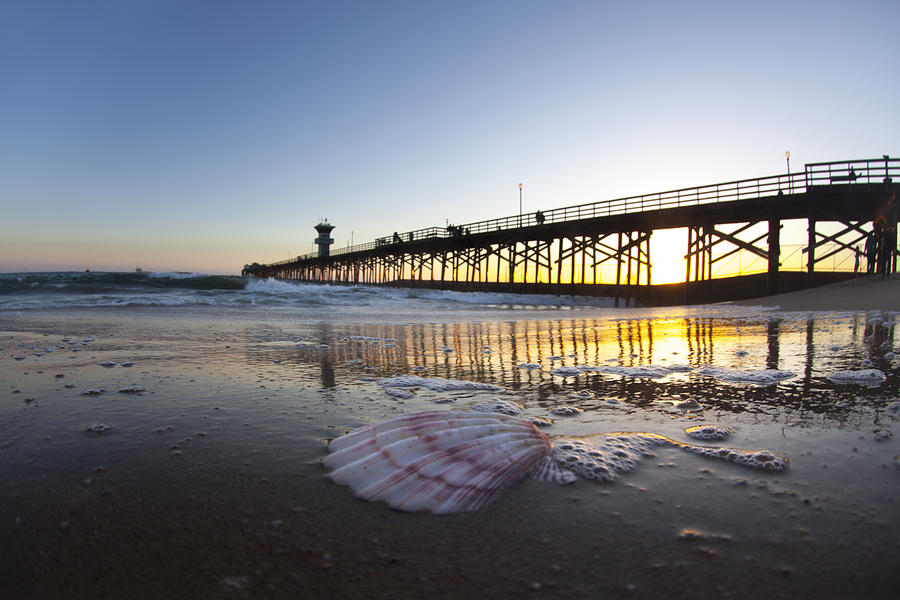 Sunset Photograph - Seal Beach Shell by Sean Davey