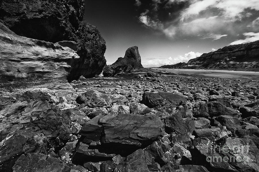 Seal Rock, Oregon Photograph by Masako Metz | Fine Art America