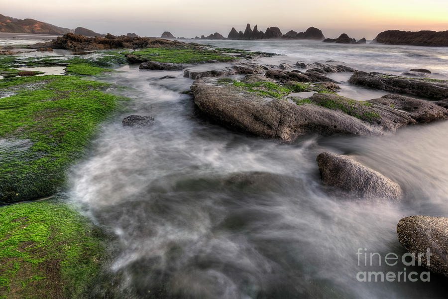 Seal Rock State Park At Sunset Photograph