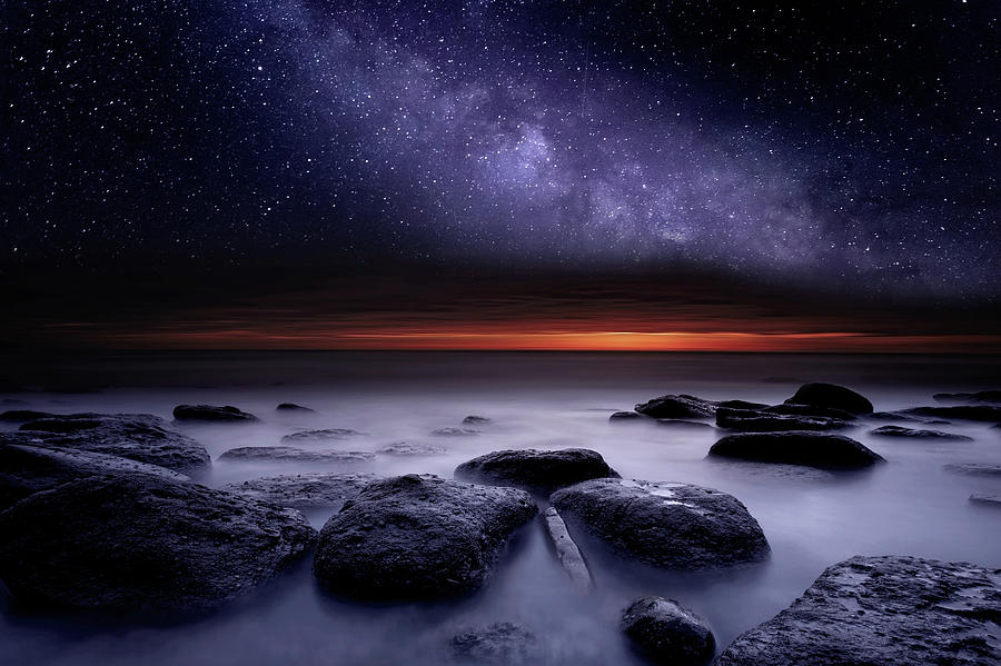 Search of Meaning Photograph by Jorge Maia
