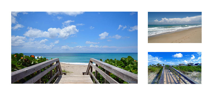 Seascape  Boardwalks Treasure Coast Florida Collage 1 Photograph by Ricardos Creations