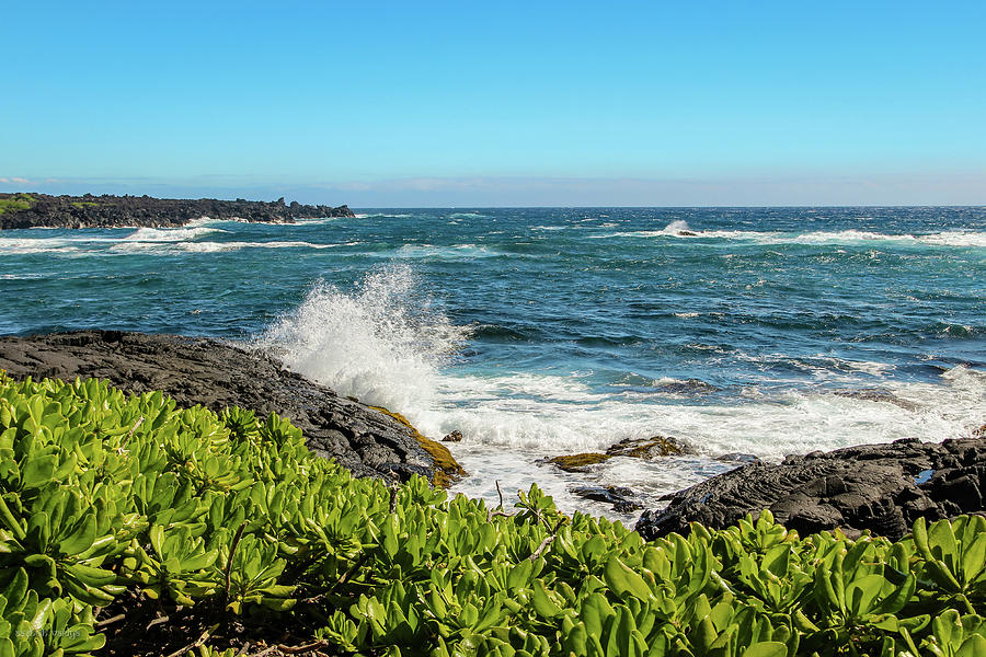 Seascape, Hawaii Photograph by Aashish Vaidya