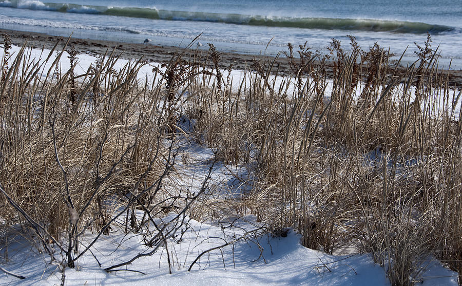 Winter Photograph - Seascape in Winter by Steven Natanson