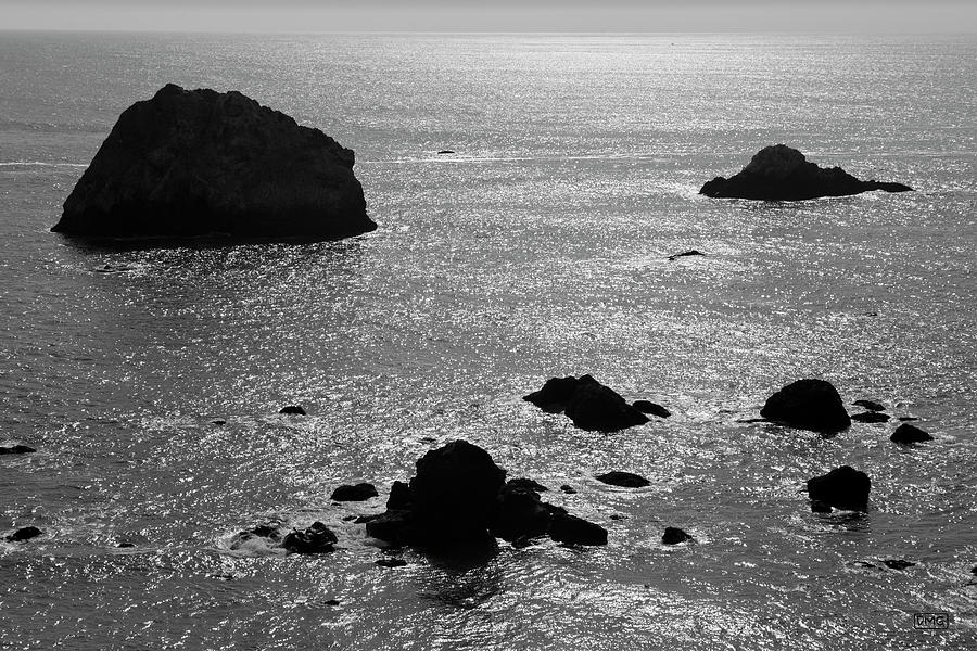 Seascape Jenner California II BW Photograph by David Gordon