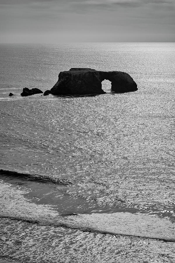 Seascape Jenner California IV BW Photograph by David Gordon