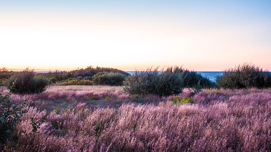 Sunset Photograph - Seascape by Karen Regan