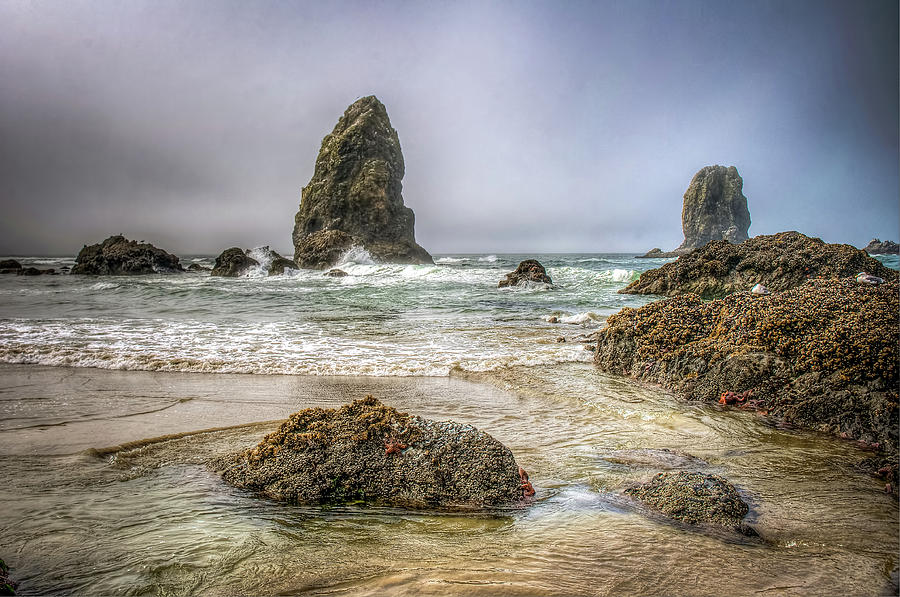 Seascape Rockery - Oregon Coast Photograph by Spencer McDonald