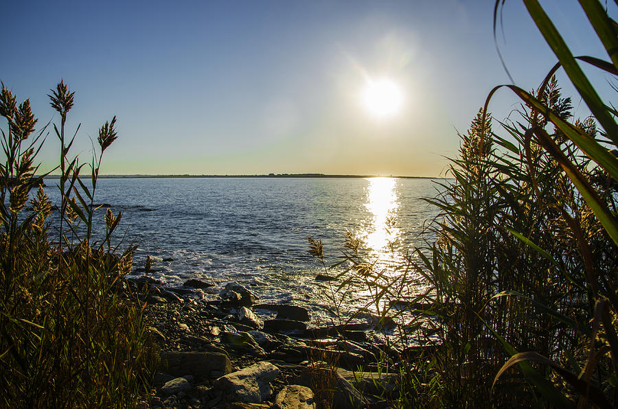 Seascape Sunrise - Newport Rhode Island Photograph by Bill Cannon