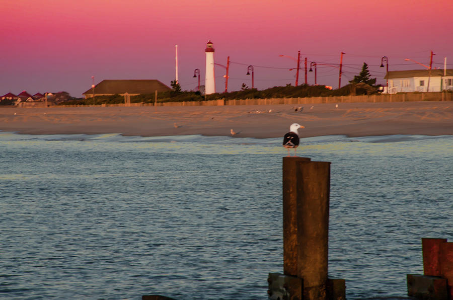 Seascape - The Lighthouse at Cape May Photograph by Bill Cannon