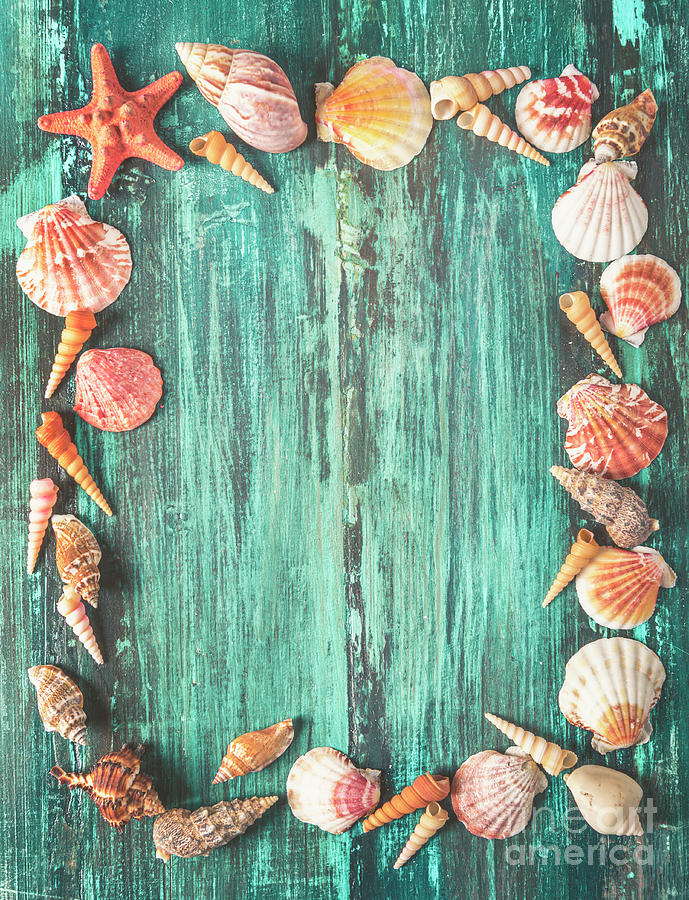 Seashell and starfish frame on wooden background Photograph by Jelena Jovanovic