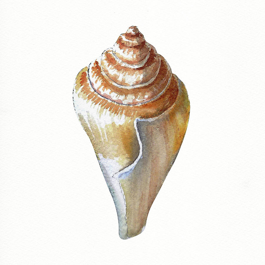 Seashell Art Beach Treasure Sea Shell III Painting by Irina Sztukowski