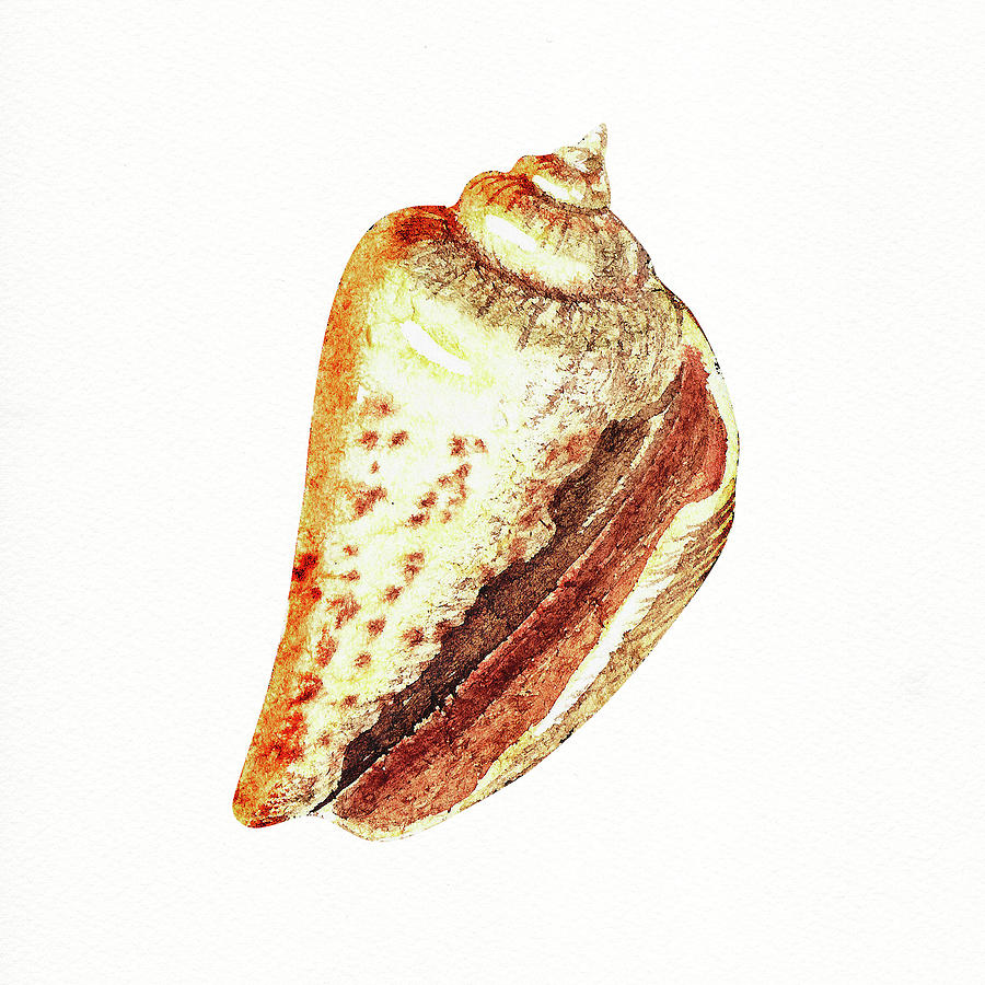 Shell Painting - Seashell Art Beach Treasure Sea Shell V by Irina Sztukowski