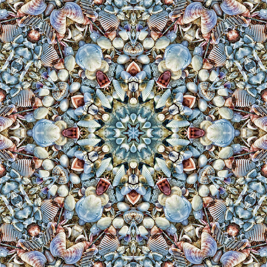 Seashell Kaleidoscope Photograph by Cindi Ressler