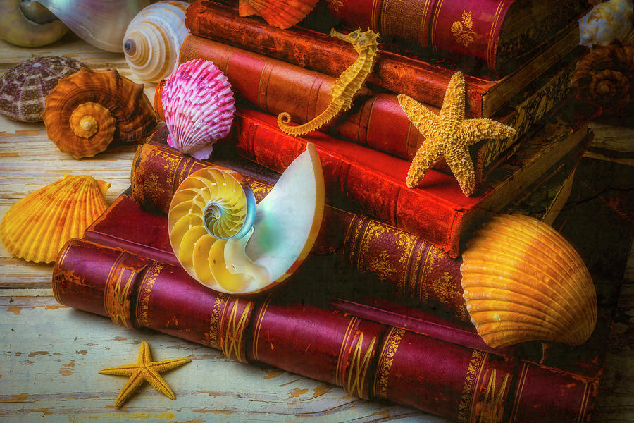 Seashells And Old Books Photograph by Garry Gay
