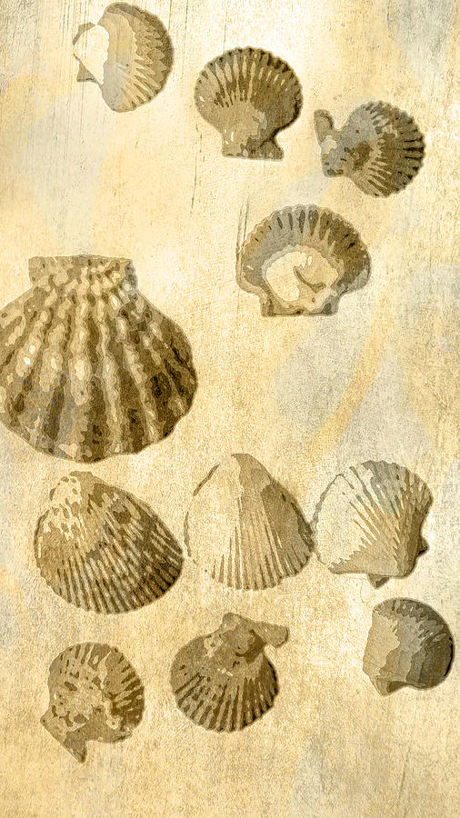 Seashells and Sand Digital Art by Cathy Anderson