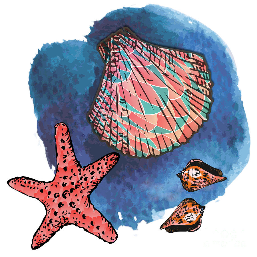 Seashells and starfish Digital Art by Gaspar Avila
