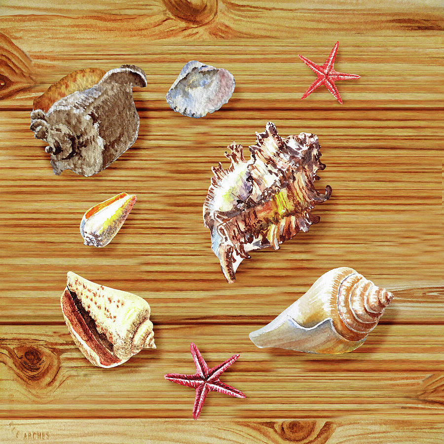 Seashells On Board Painting by Irina Sztukowski