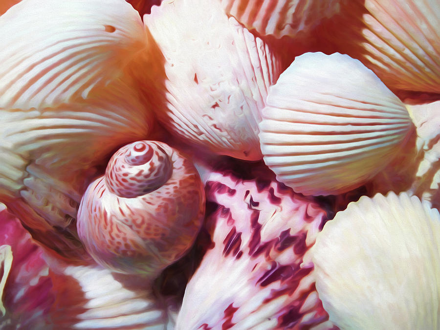 Seashells Painterly Photograph by Mary Bedy