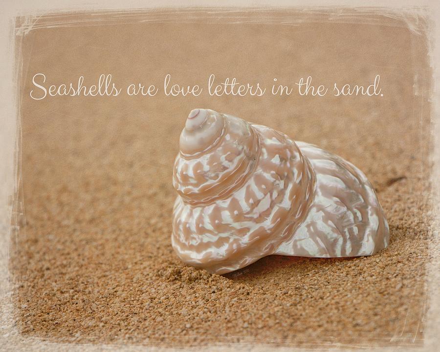 Seashells Photograph by Teresa Wilson