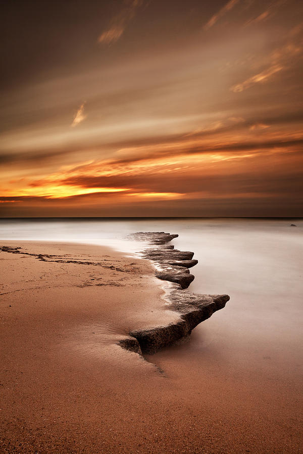 Seashore wonders Photograph by Jorge Maia
