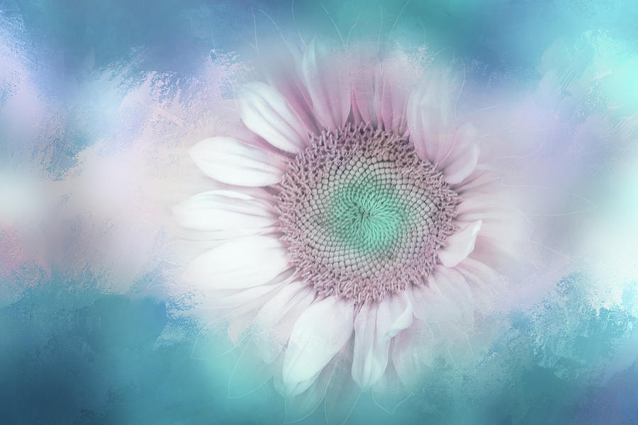 Sunflower Digital Art - Seaside Sunflower by Terry Davis