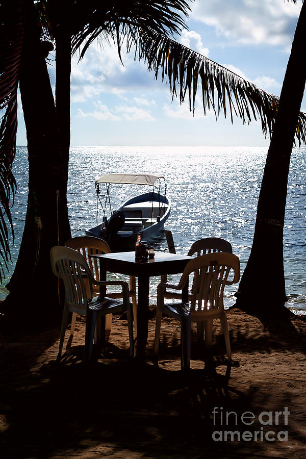 Seaside Dining Photograph by Lawrence Burry