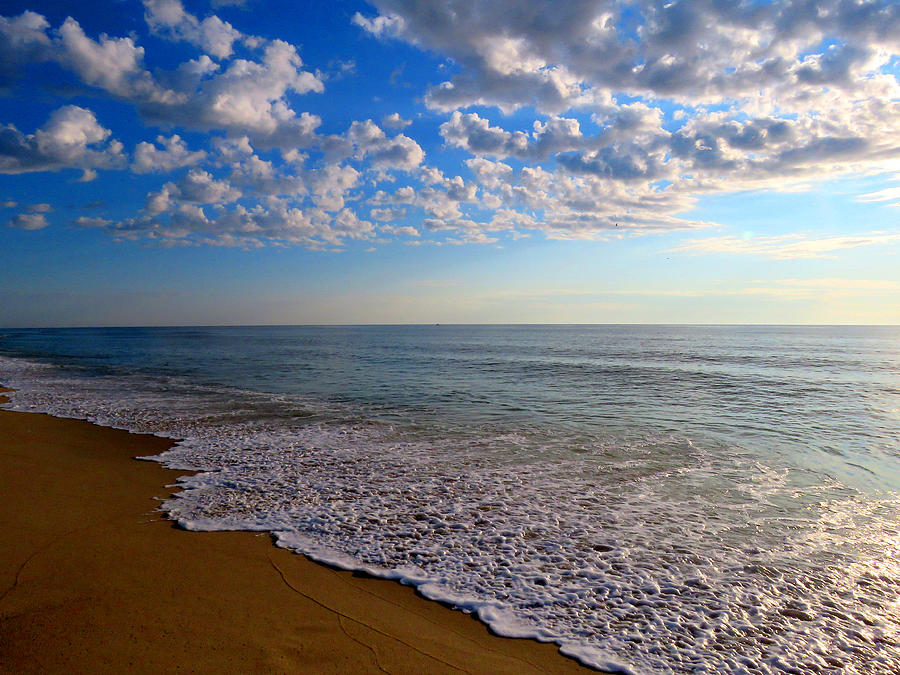 Nature Photograph - Seaside Lace by Dianne Cowen Cape Cod Photography