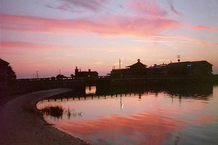 Seaside Pink Photograph
