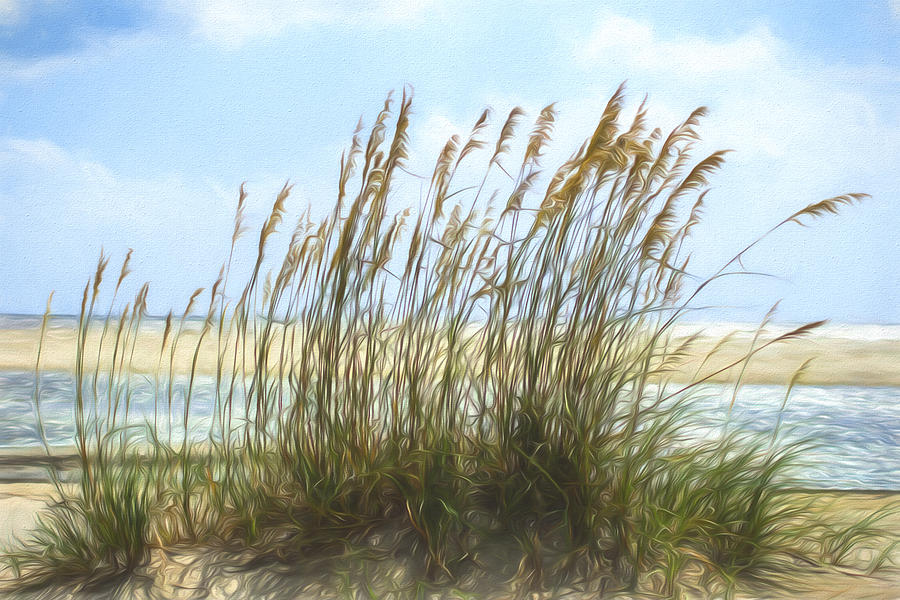 Seaside Reeds Photograph by Chris Bordeleau