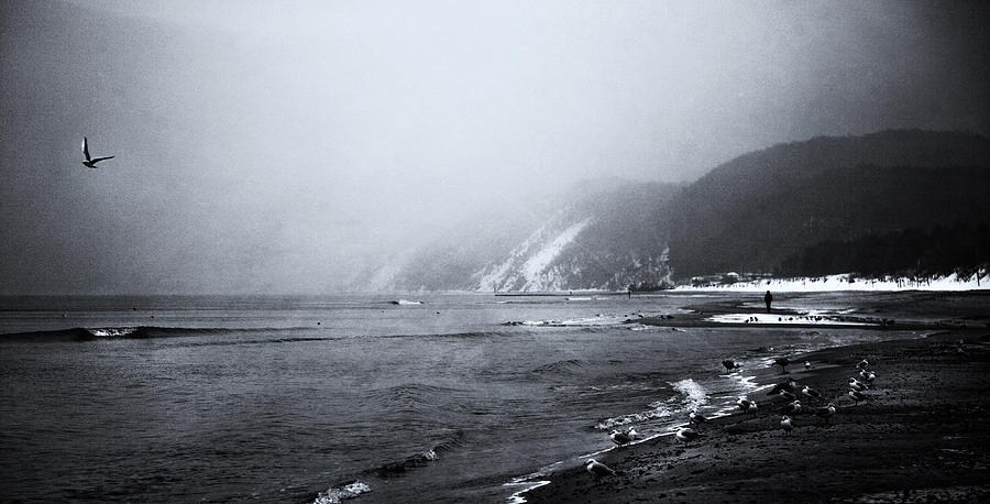 Winter Photograph - Seaside stories by Art of Invi