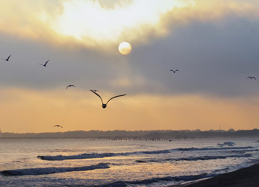Seaside Sunrise Photograph by Bill Cannon