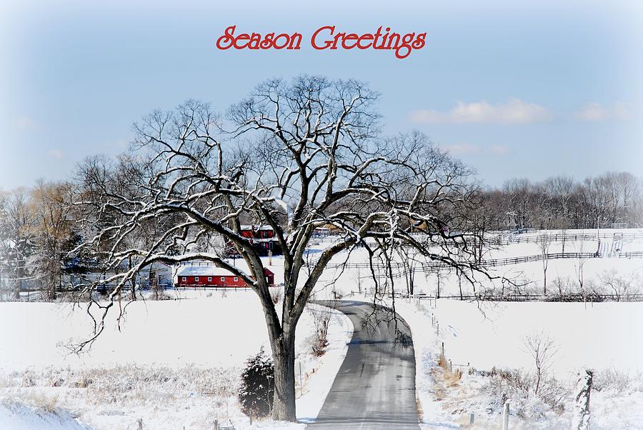 Holiday Photograph - Season Greetings  by Linda Covino