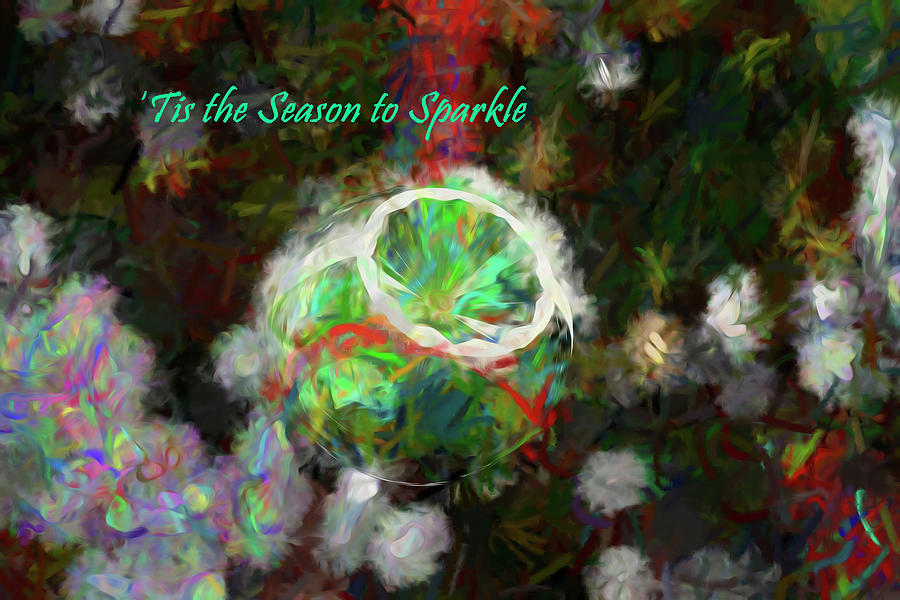Tis the Season to Sparkle Digital Art by Linda Brody