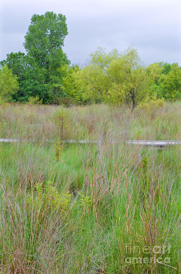 Seasonal Change Photograph by Gary Richards - Fine Art America