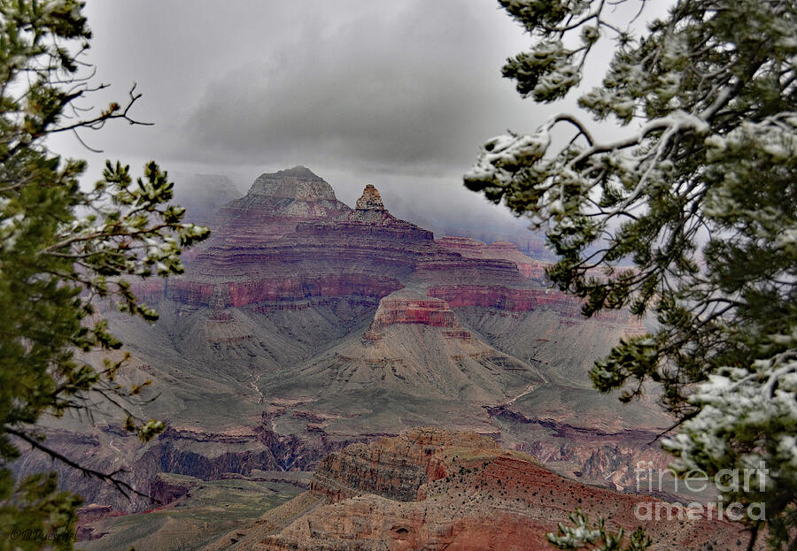 Seasonal Changing of the Guard at the Grand Canyon Arizona Photograph by Debby Pueschel