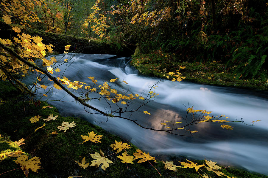 Seasonal Tranquility Photograph by Andrew Kumler