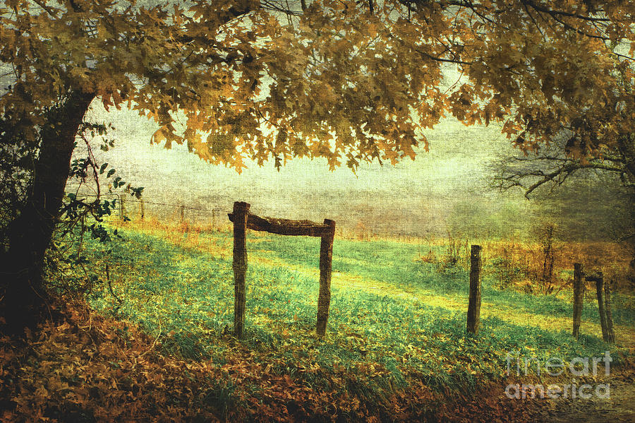 Red Oak Leaves Photograph - Seasons Ending by Michael Eingle