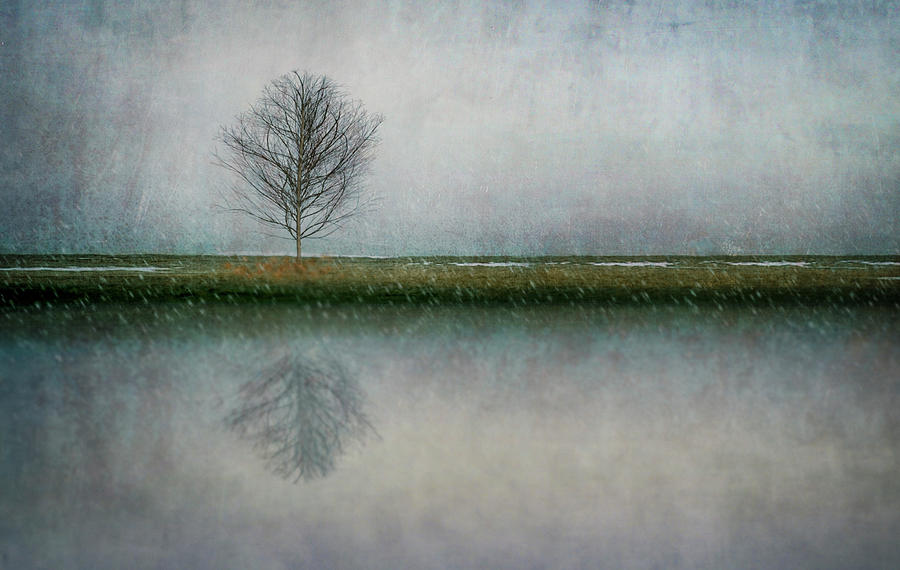 Season's first Snow by Paul Bartell Season's first Snow by Paul Bartell