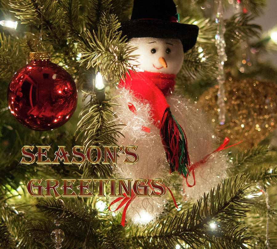 Christmas Photograph - Seasons Greeting Card with Snowman by Phyllis Taylor