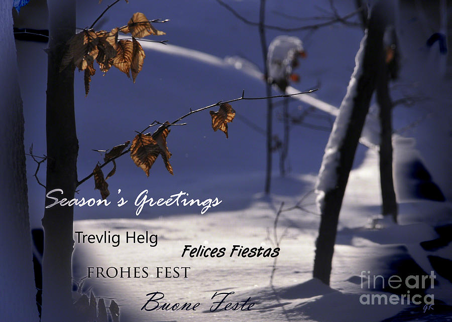 Seasons Greeting Photograph by Gerlinde Keating - Galleria GK Keating Associates Inc