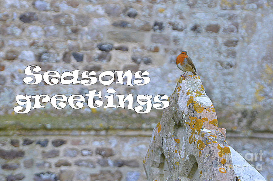 Seasons Greetings Photograph by Andy Thompson