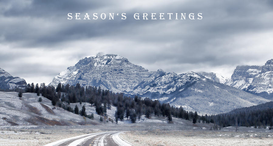 Seasons Greetings Photograph by Cindy Archbell