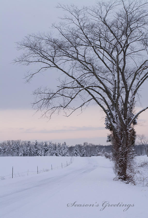 Seasons Greetings- Country Road Photograph by Holden The Moment