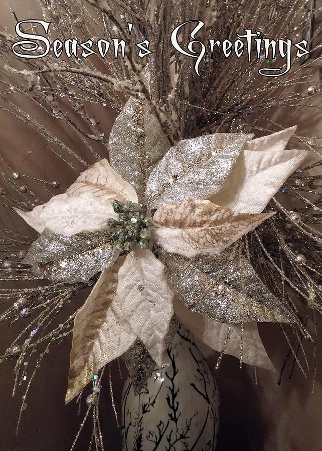Holiday Photograph - Seasons Greetings Poinsettia by Jodie Marie Anne Richardson Traugott          aka jm-ART