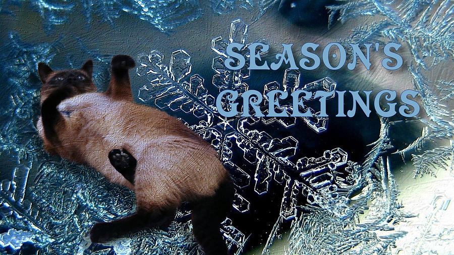 Holiday Digital Art - Seasons Greetings by Theresa Campbell